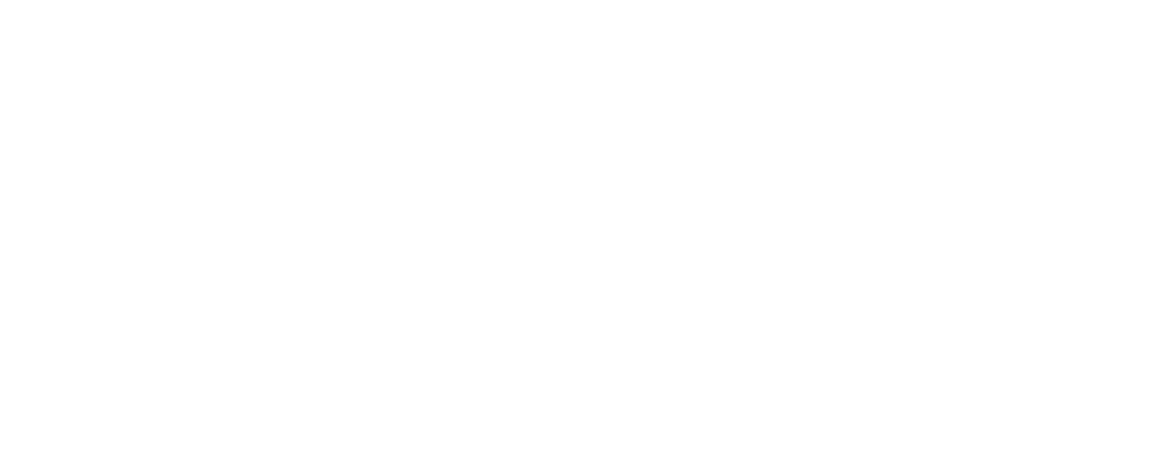Alyon Leisure